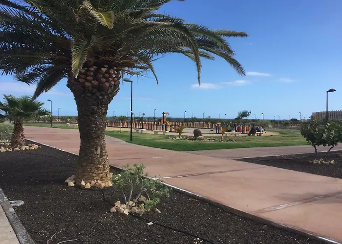 Daire Moleiro- La Tejita